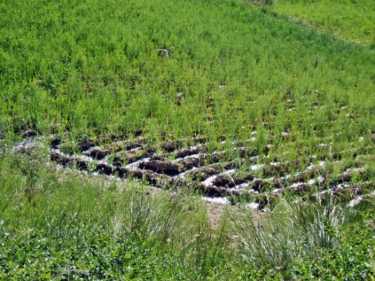 Cesta ze Šuoldary do Iškašimu